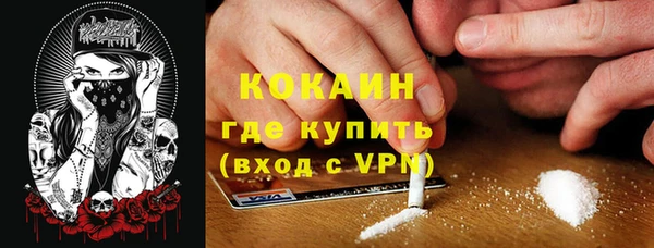 прущие грибы Алексеевка