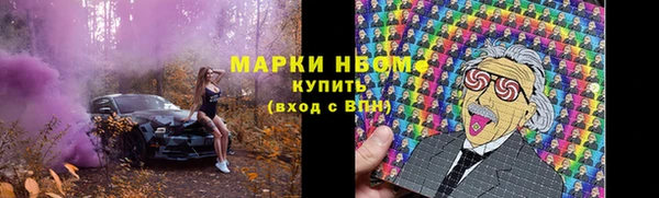 прущие грибы Алексеевка